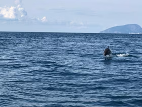 Домик у моря в Крыму — отдых на побережье